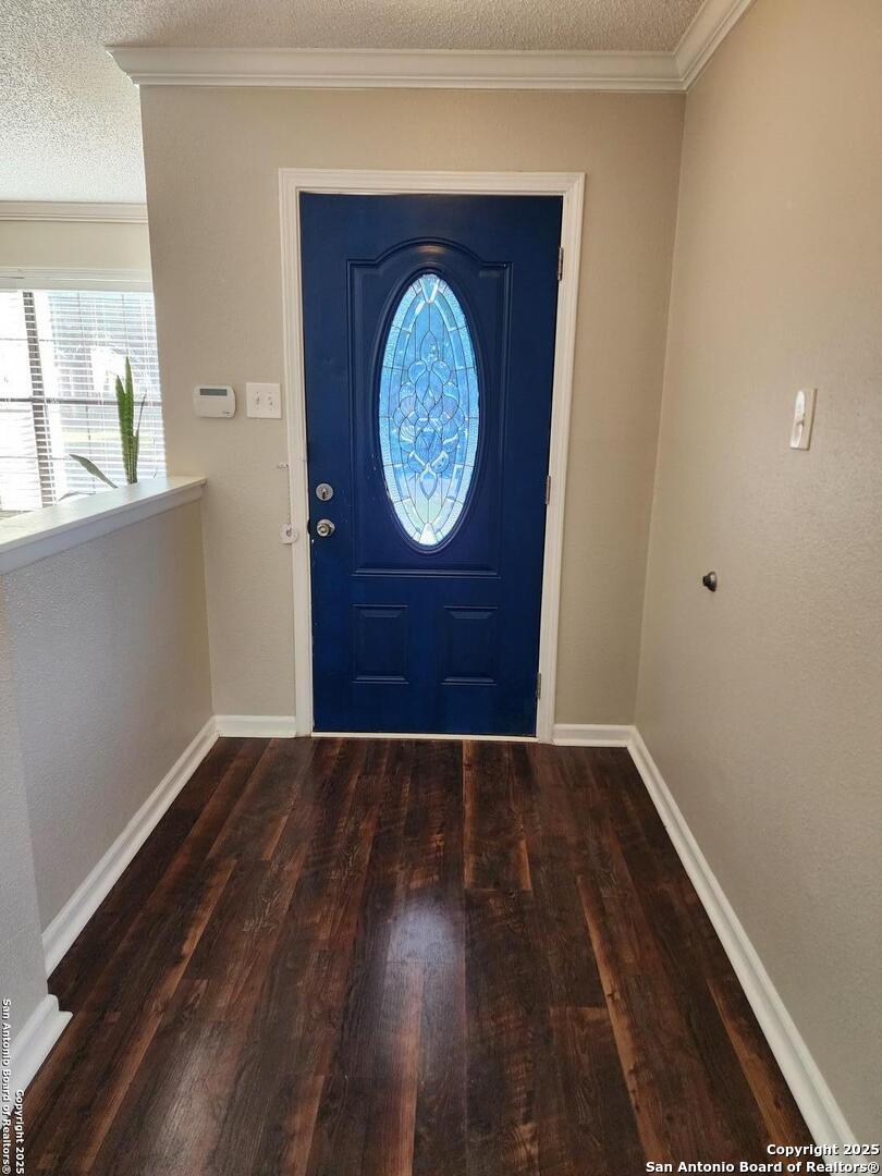 6811 Cypress mist