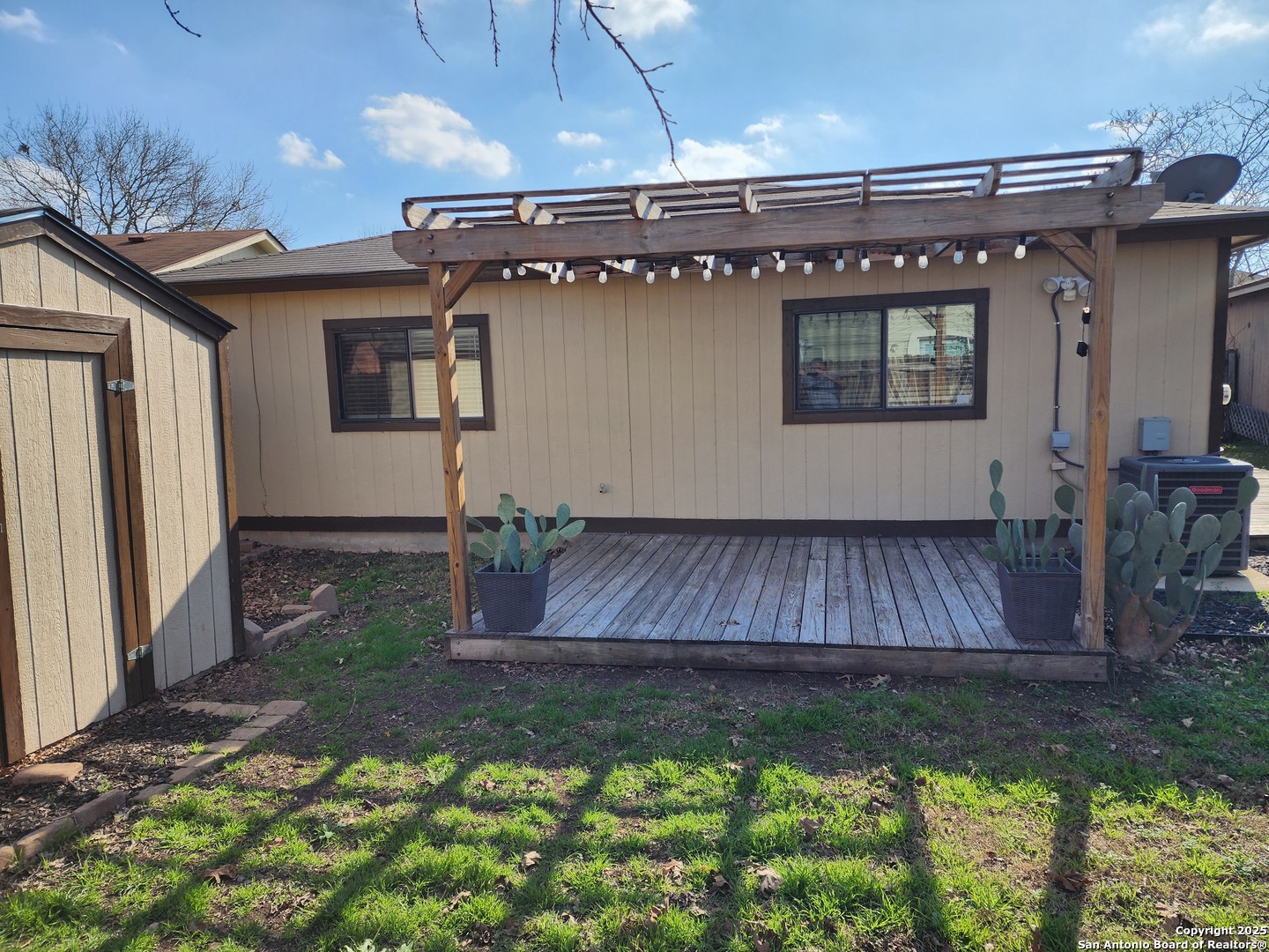 6811 Cypress mist