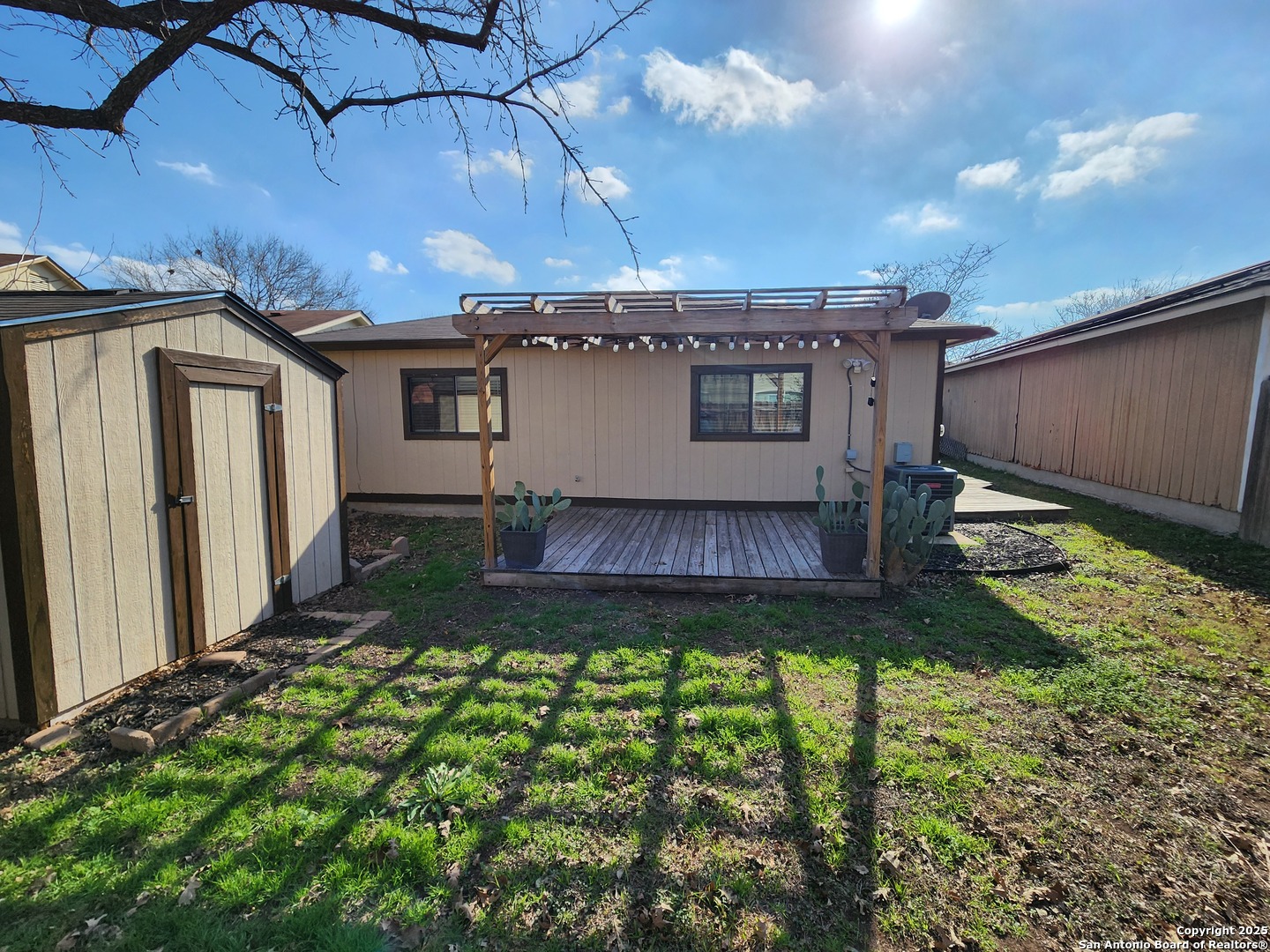6811 Cypress mist