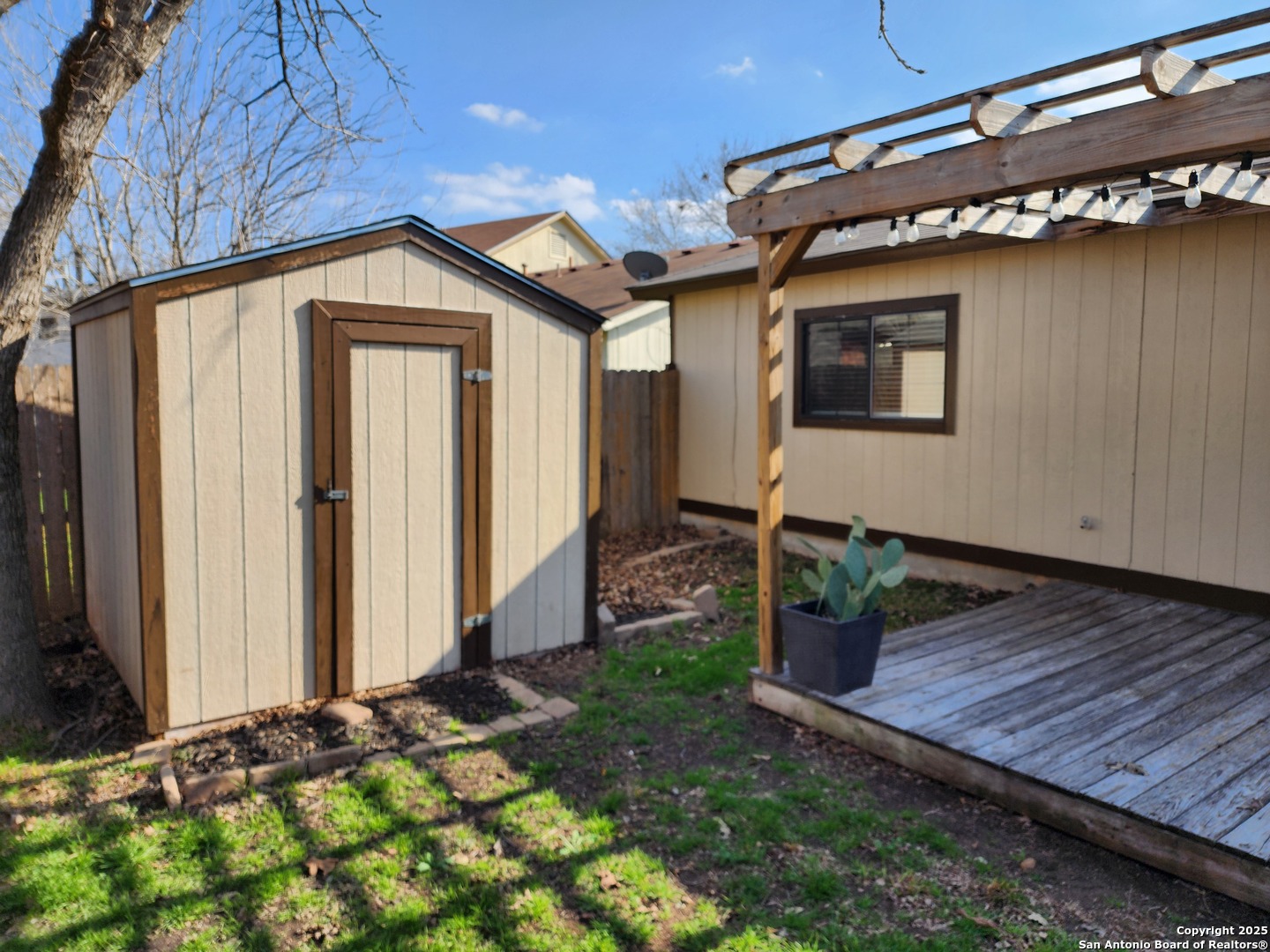 6811 Cypress mist