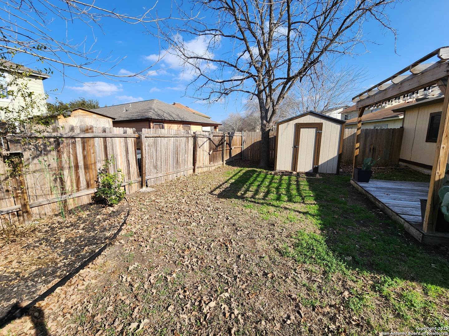 6811 Cypress mist