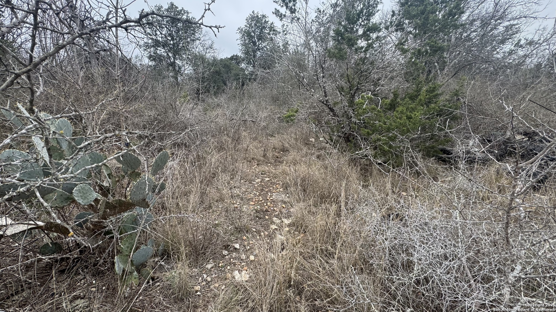 LOT 3 Earhart Ln
