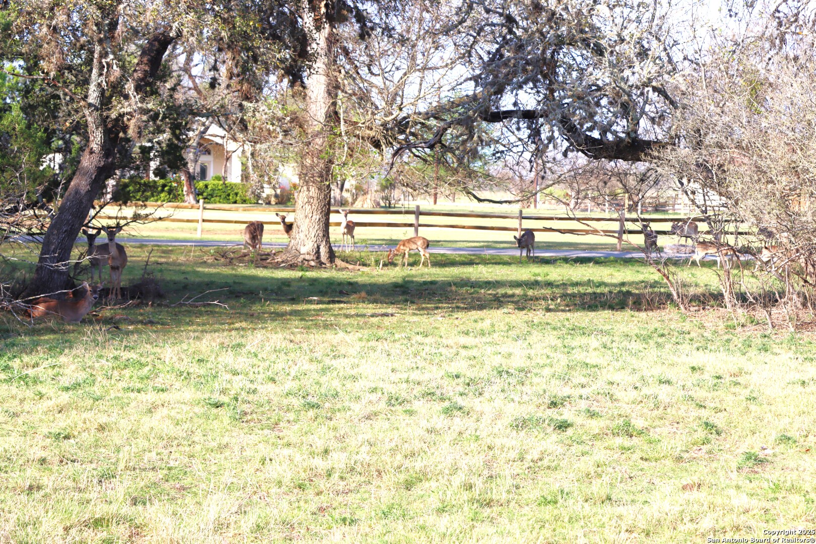 349 Glenvalley Circle