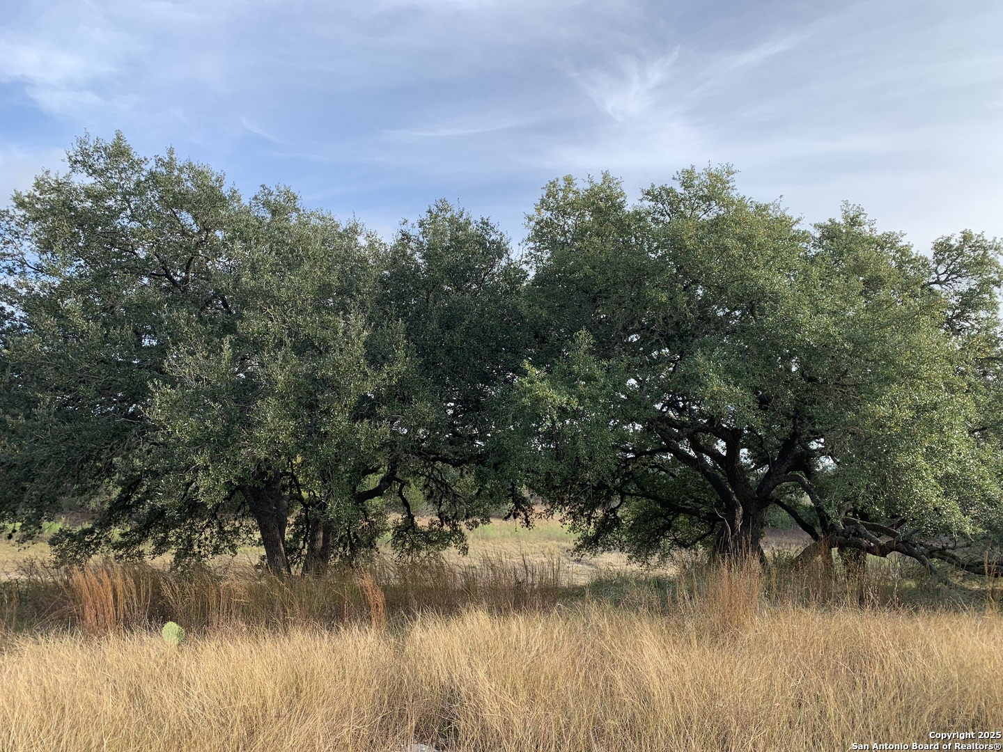LOT 203 Palomino Springs