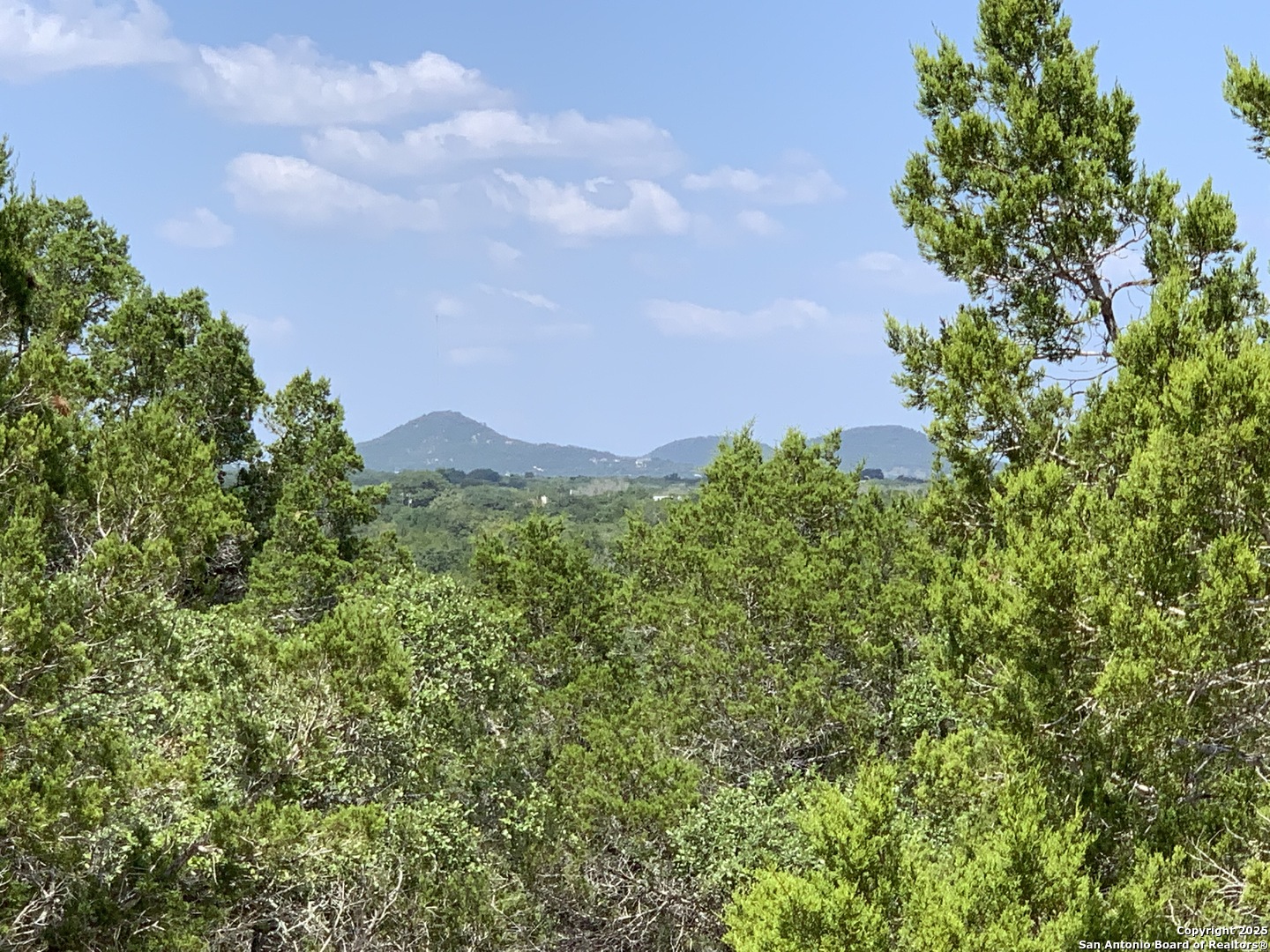 LOT 203 Palomino Springs
