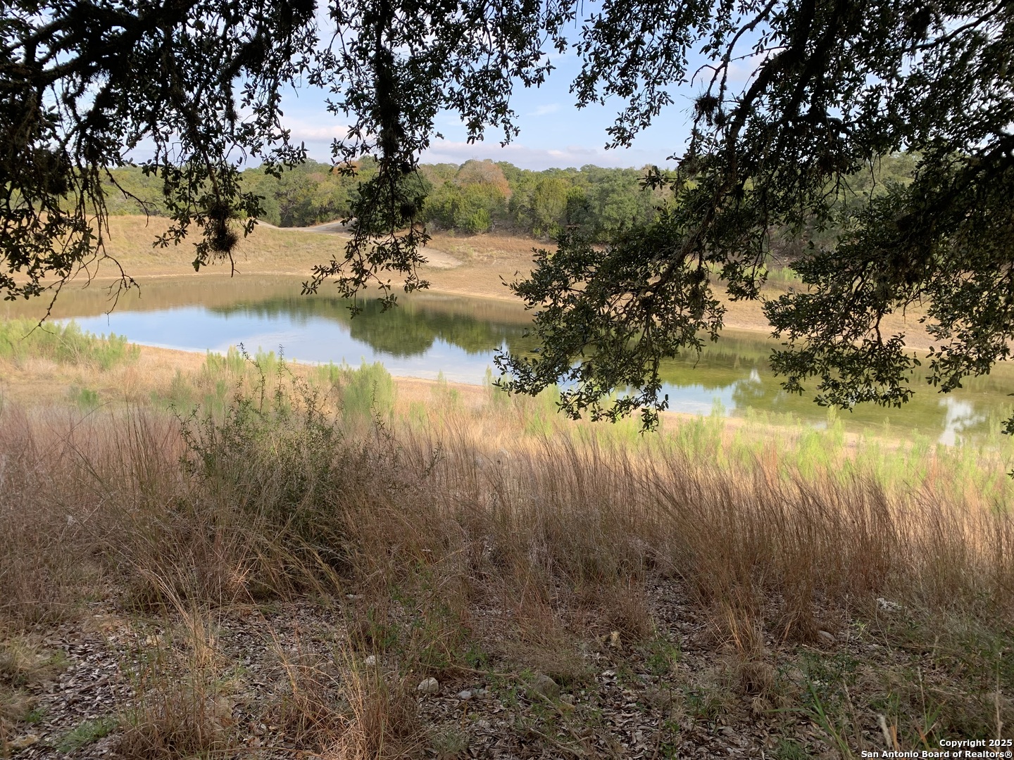 LOT 203 Palomino Springs
