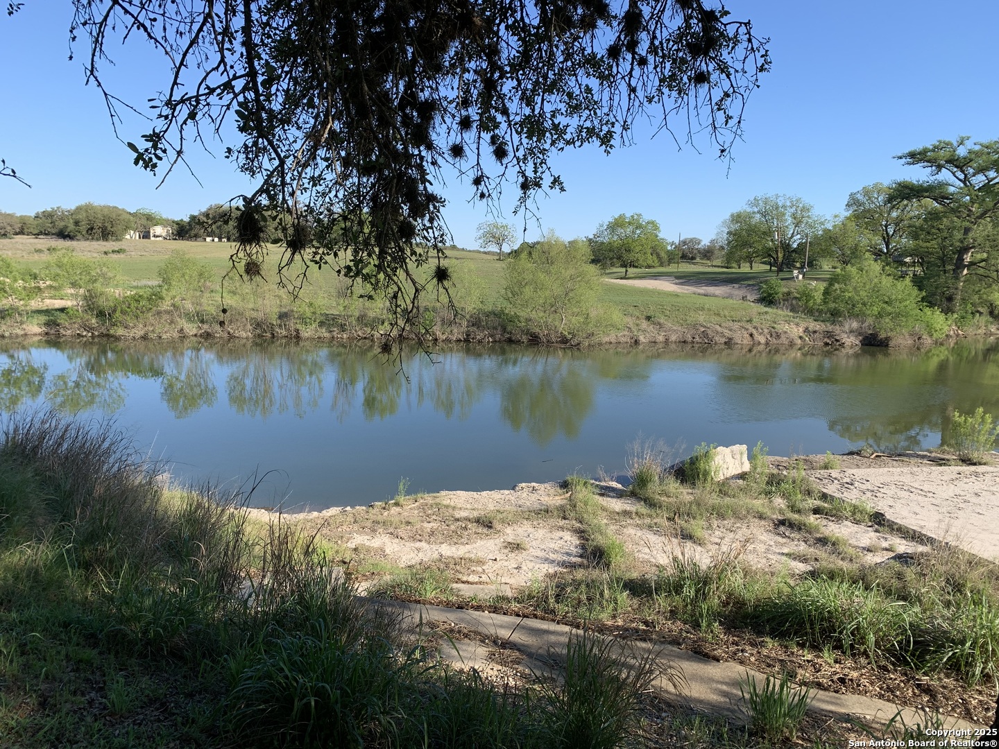 LOT 203 Palomino Springs
