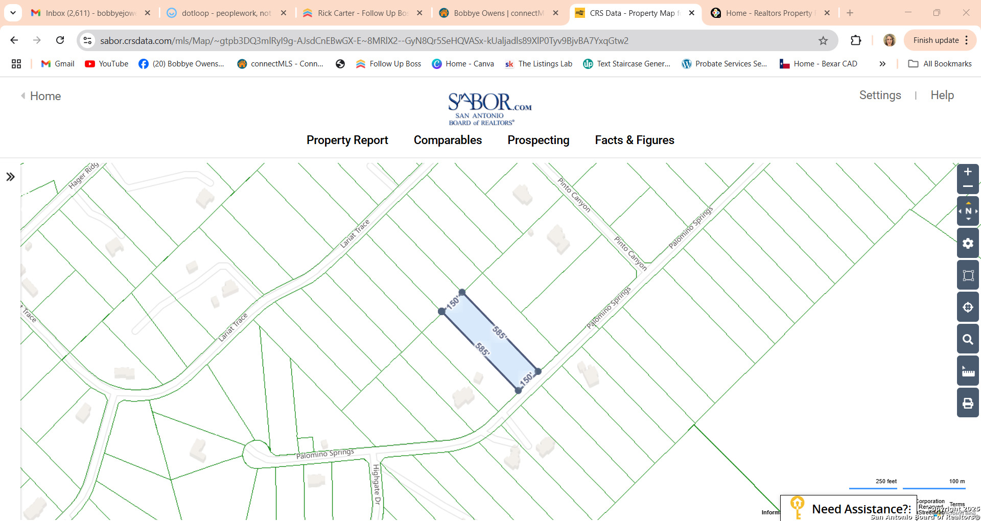 LOT 203 Palomino Springs