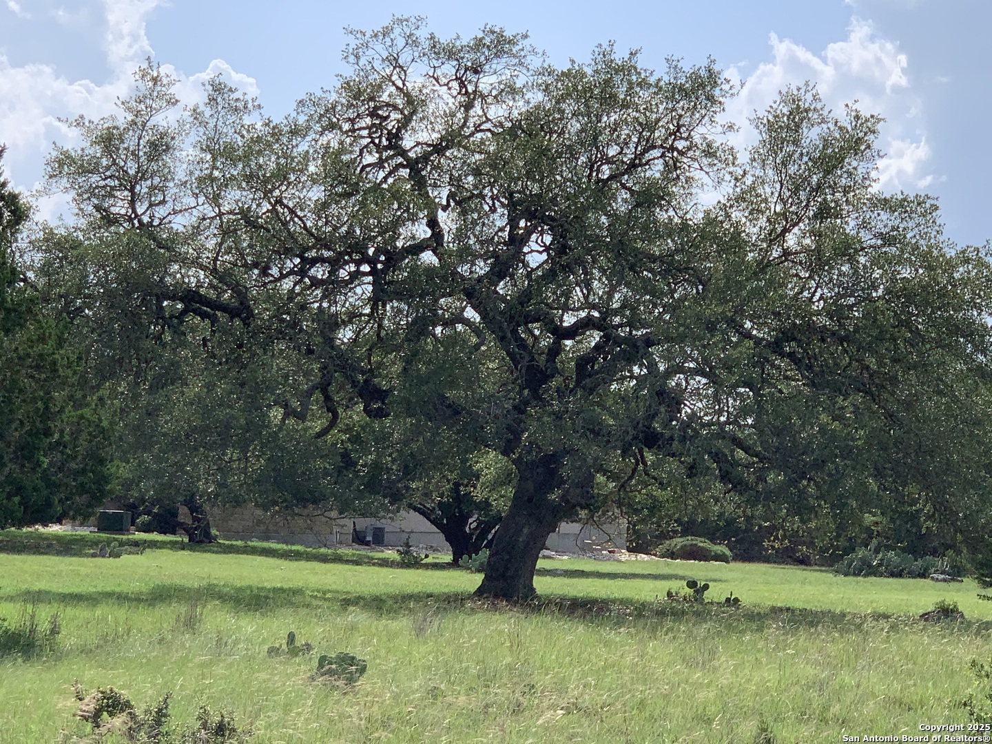 LOT 203 Palomino Springs
