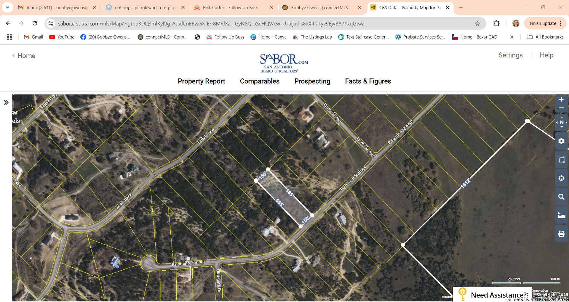 LOT 203 Palomino Springs