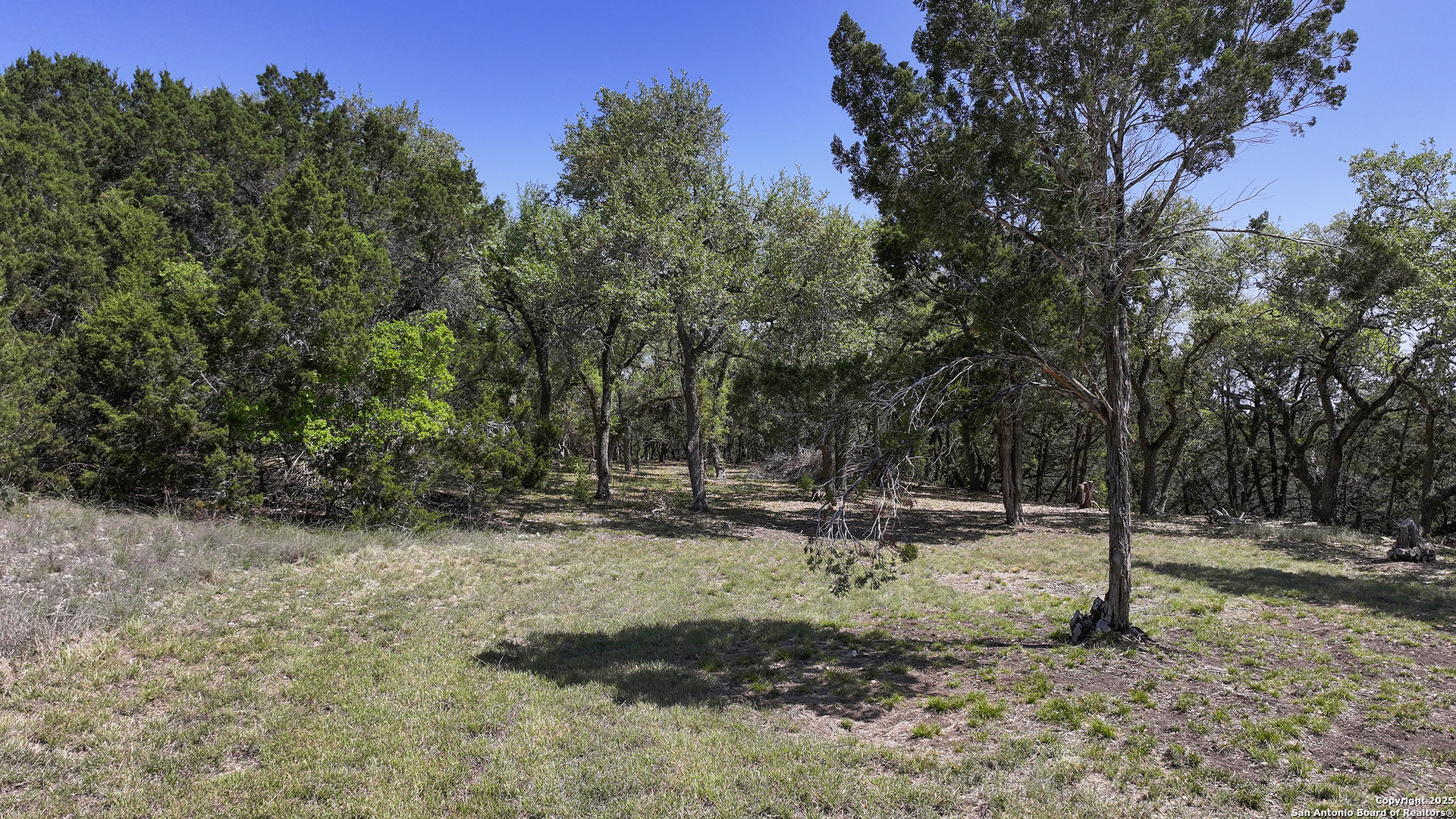 2201 Comal Springs