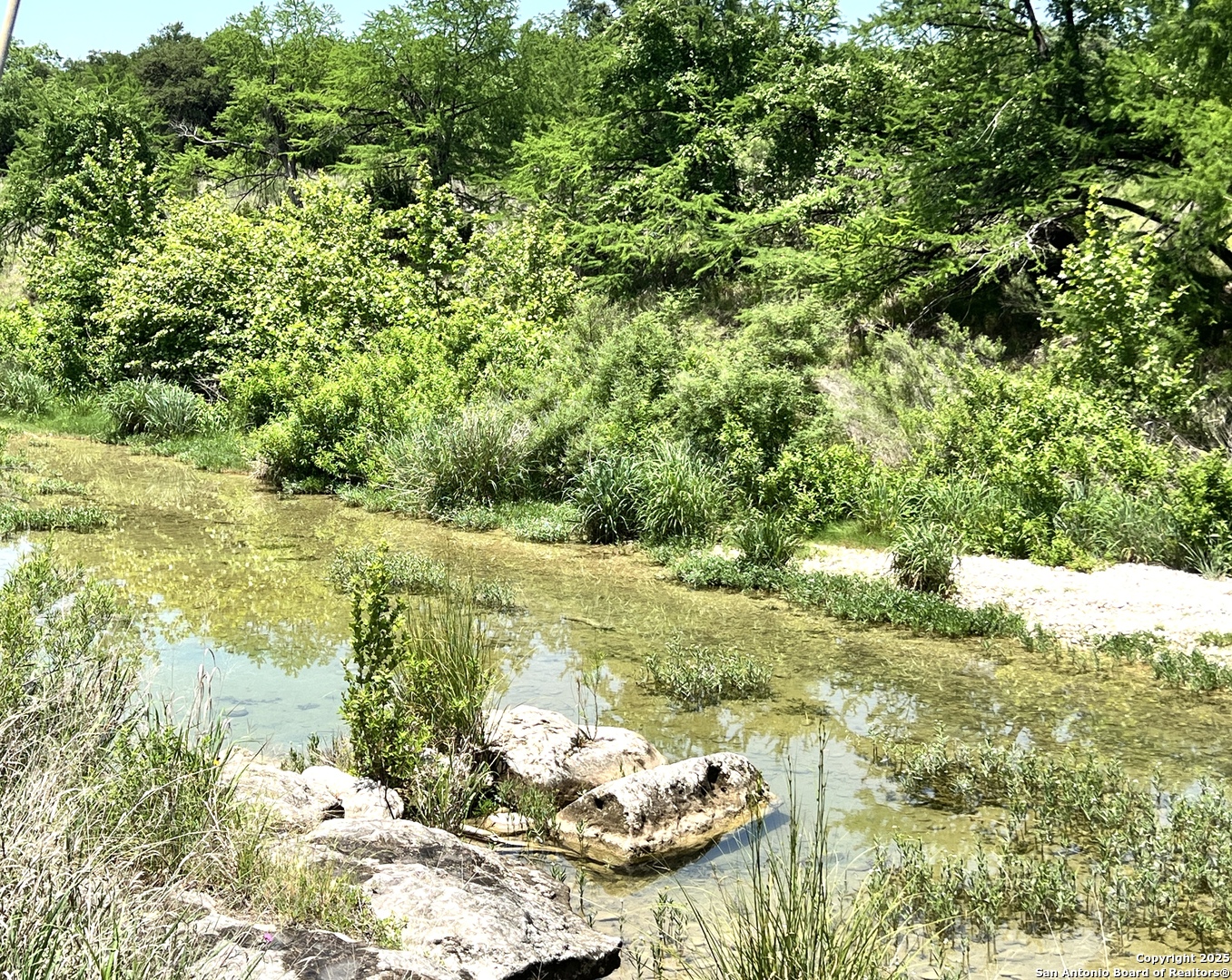 104 Cypress Pt