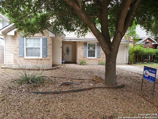 4218 Swan Forest