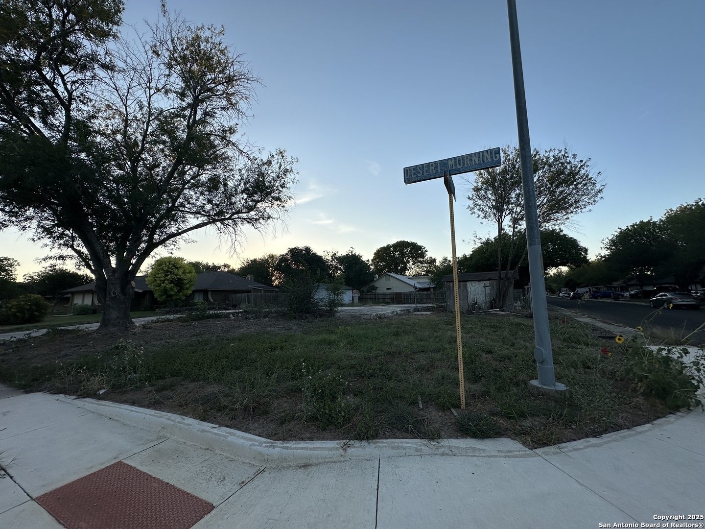 3019 Desert Morning