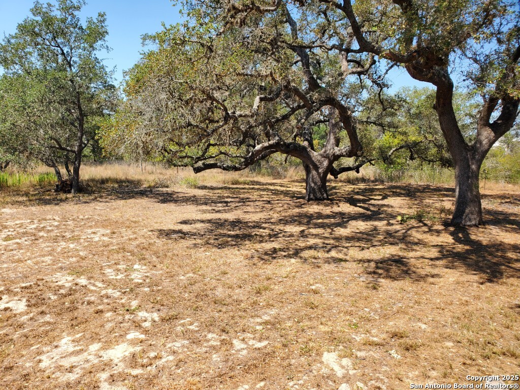 1005 Spur Ridge