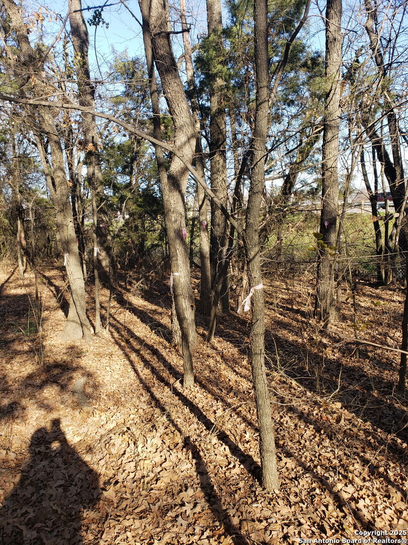 11929 Brookvalley