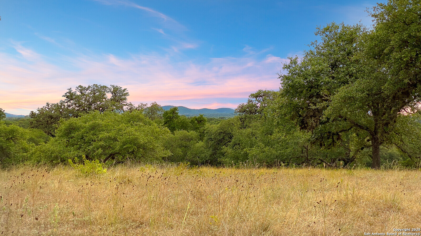 2727 Palomino Springs