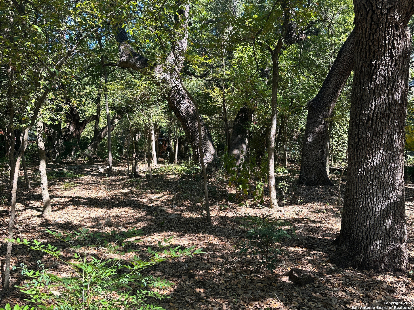 18207 Bluebonnet