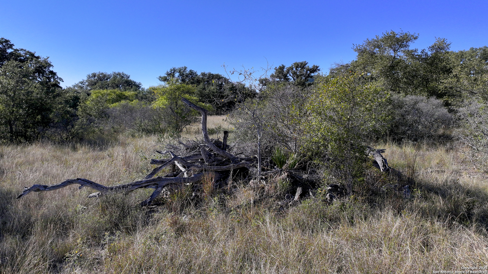 LOT 1 Sophie Dr