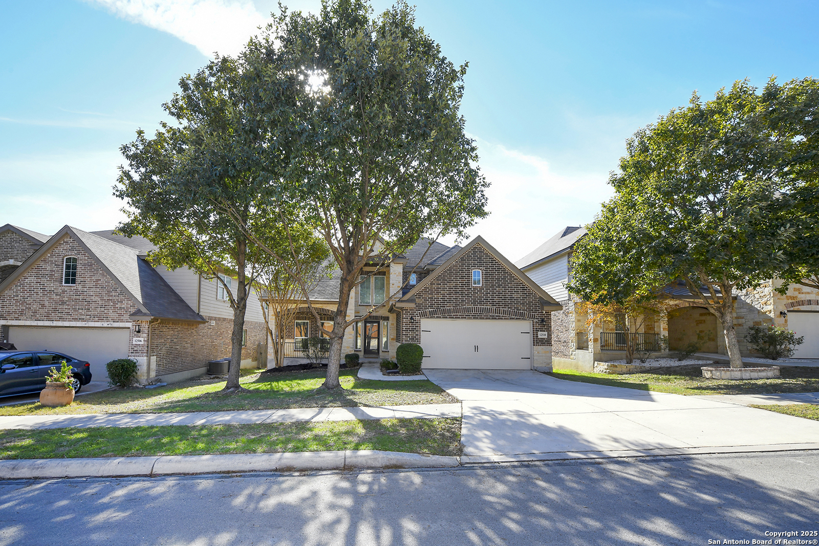 12510 Red Maple