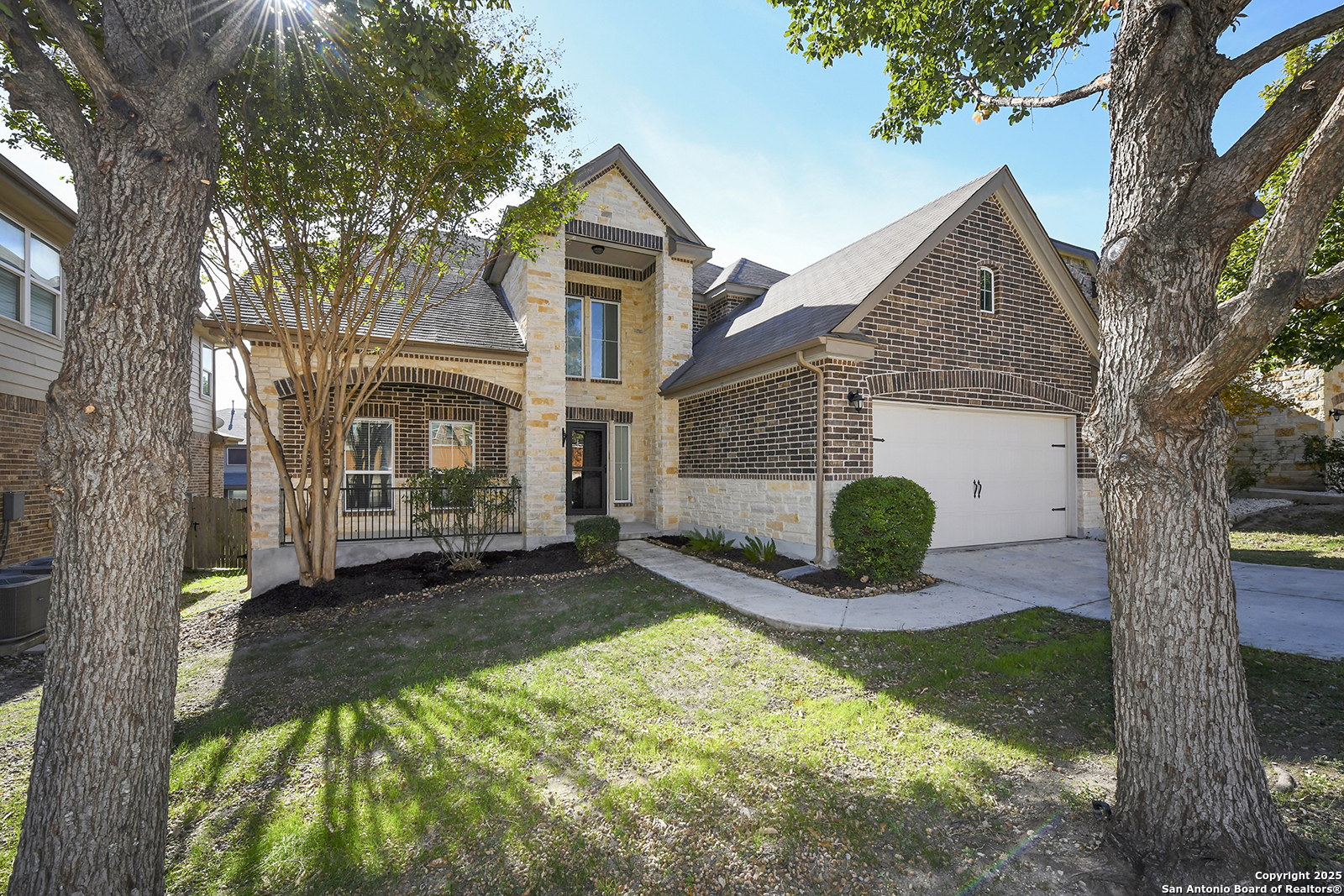 12510 Red Maple