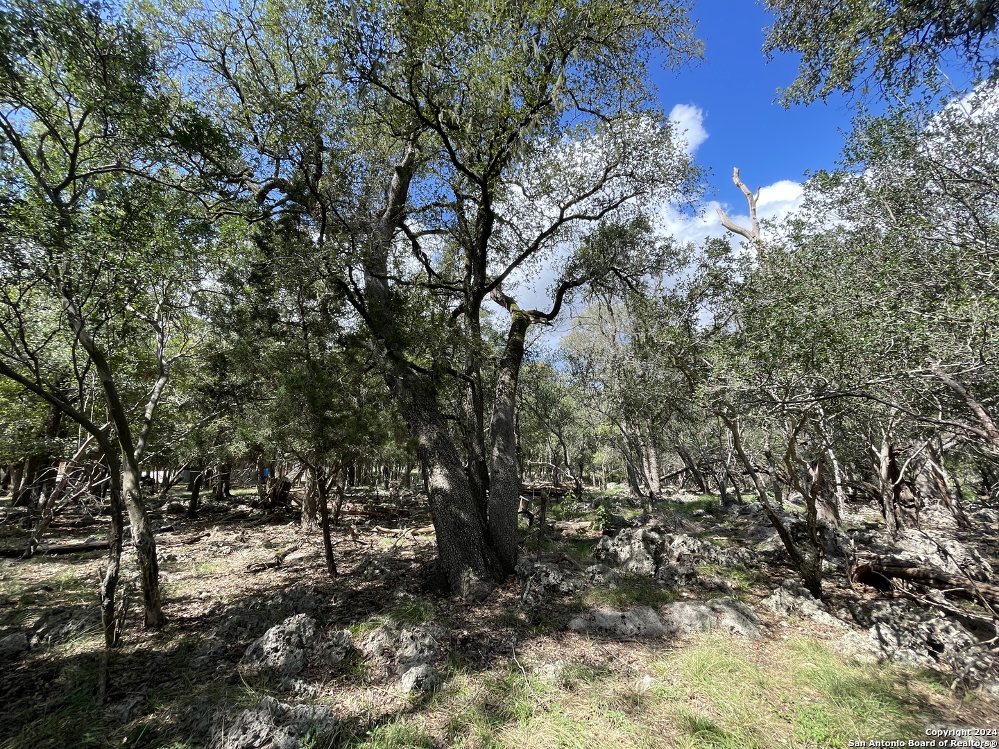 113 RIVER VIEW DR