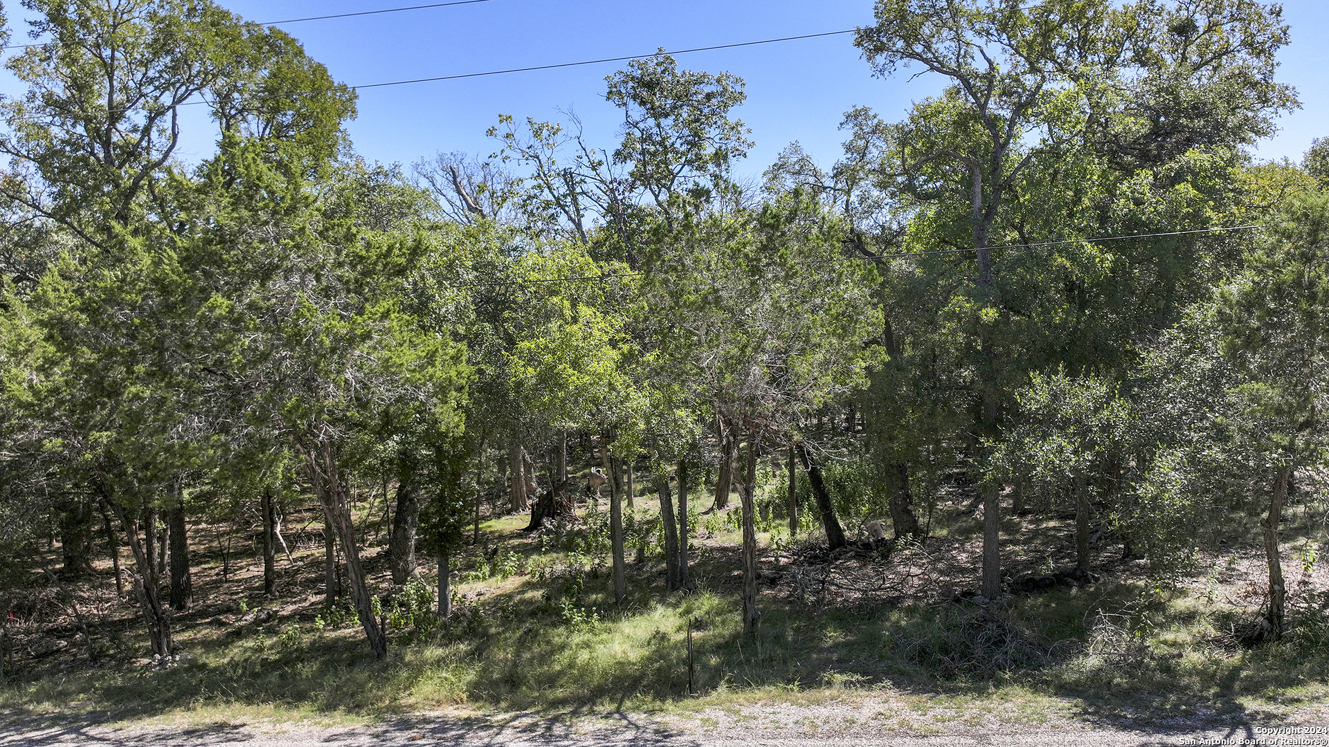113 RIVER VIEW DR