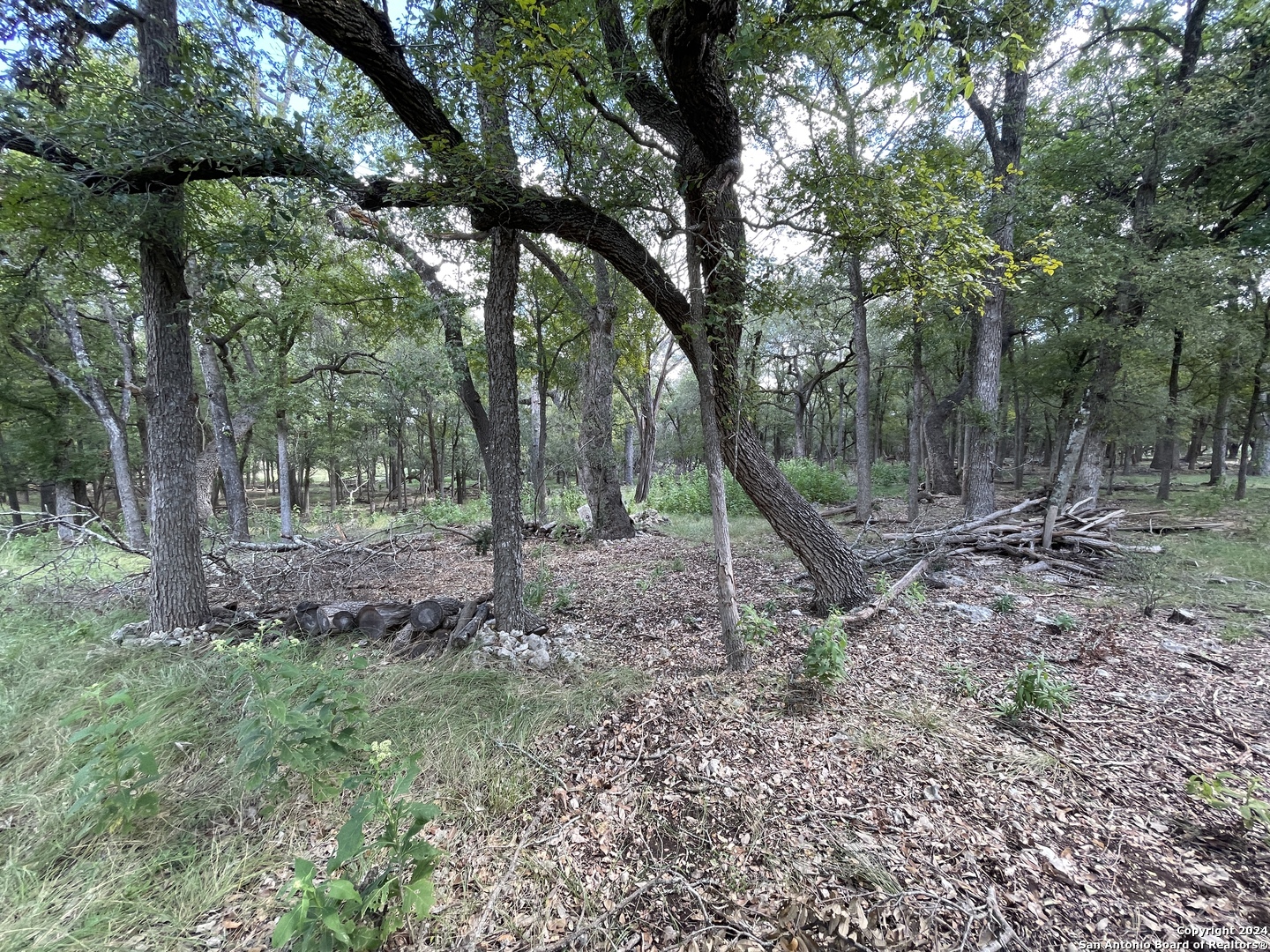 113 RIVER VIEW DR