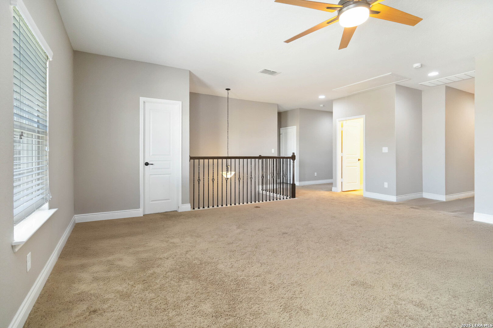 11235 Rock Daisy