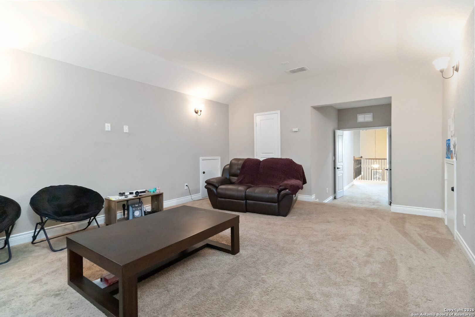 11235 Rock Daisy
