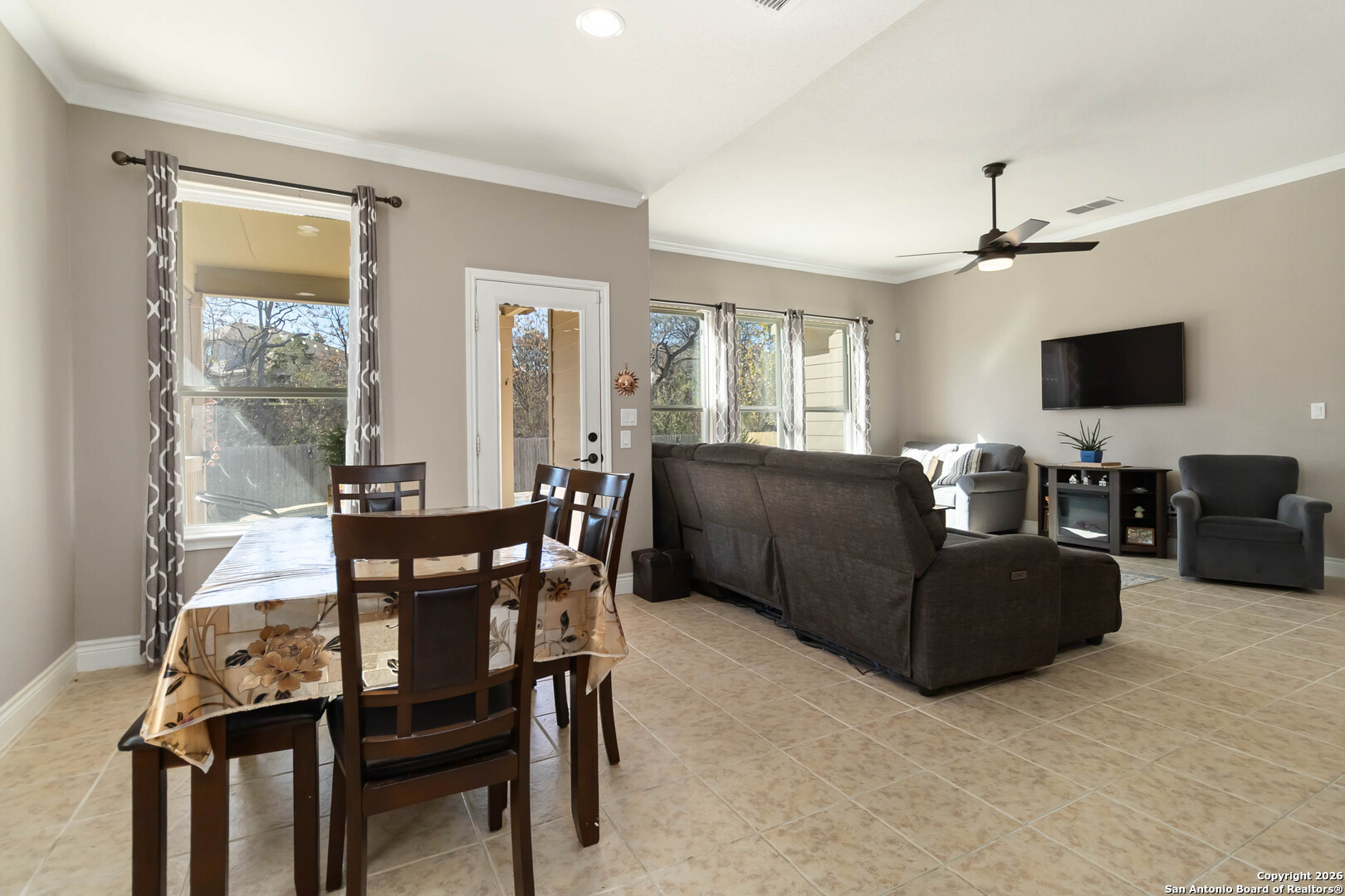 11235 Rock Daisy