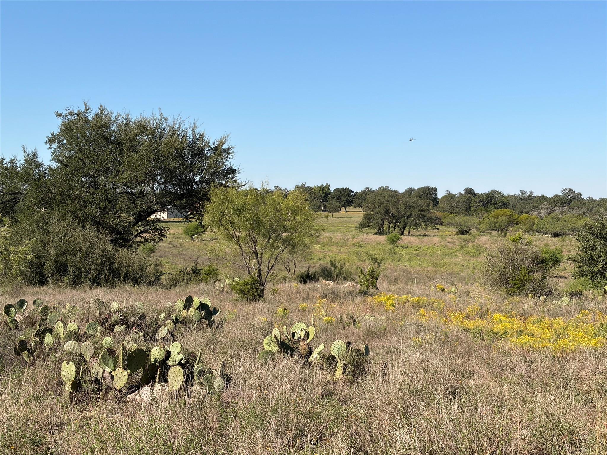2965 Old Marble Falls RD