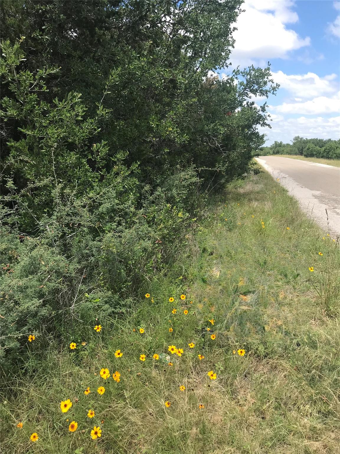 2965 Old Marble Falls RD