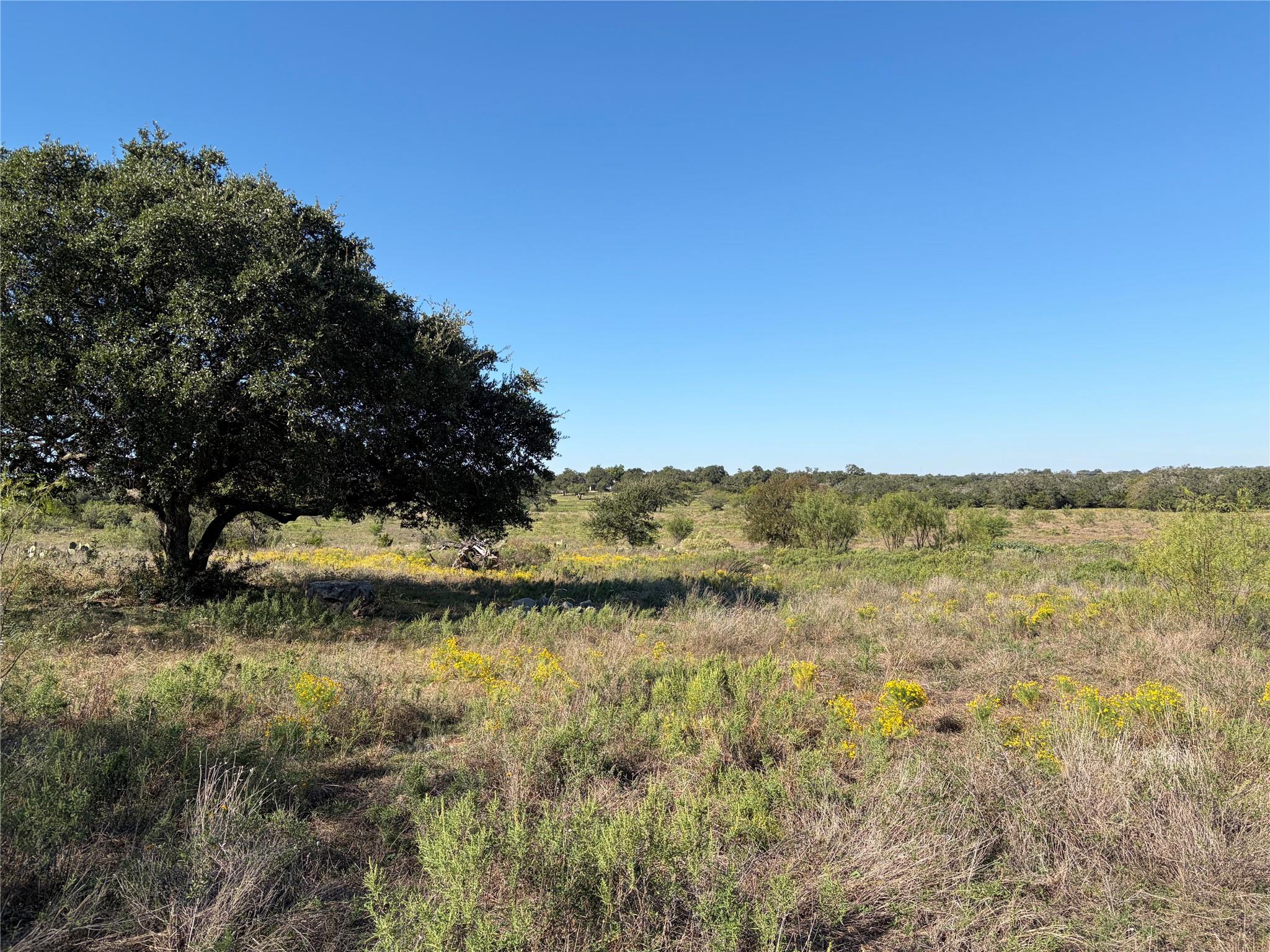 2965 Old Marble Falls RD