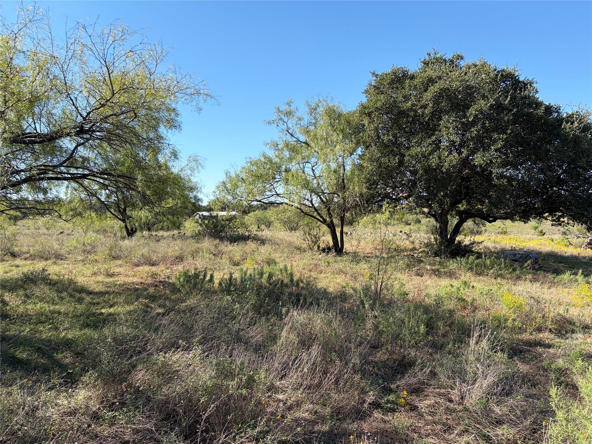 2965 Old Marble Falls RD
