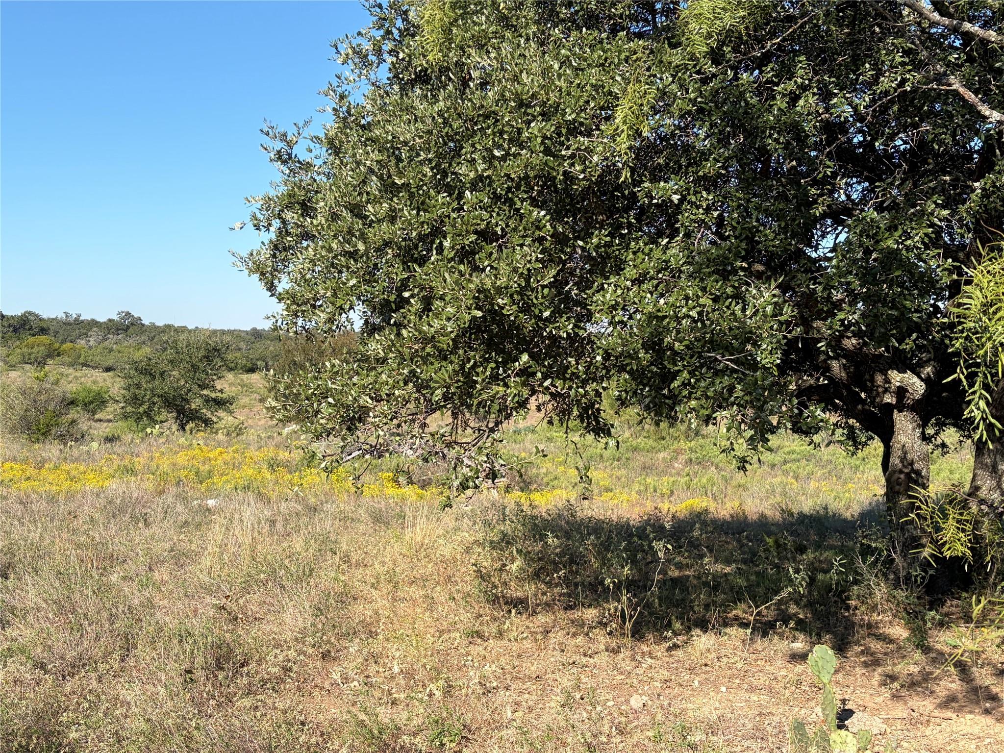 2965 Old Marble Falls RD