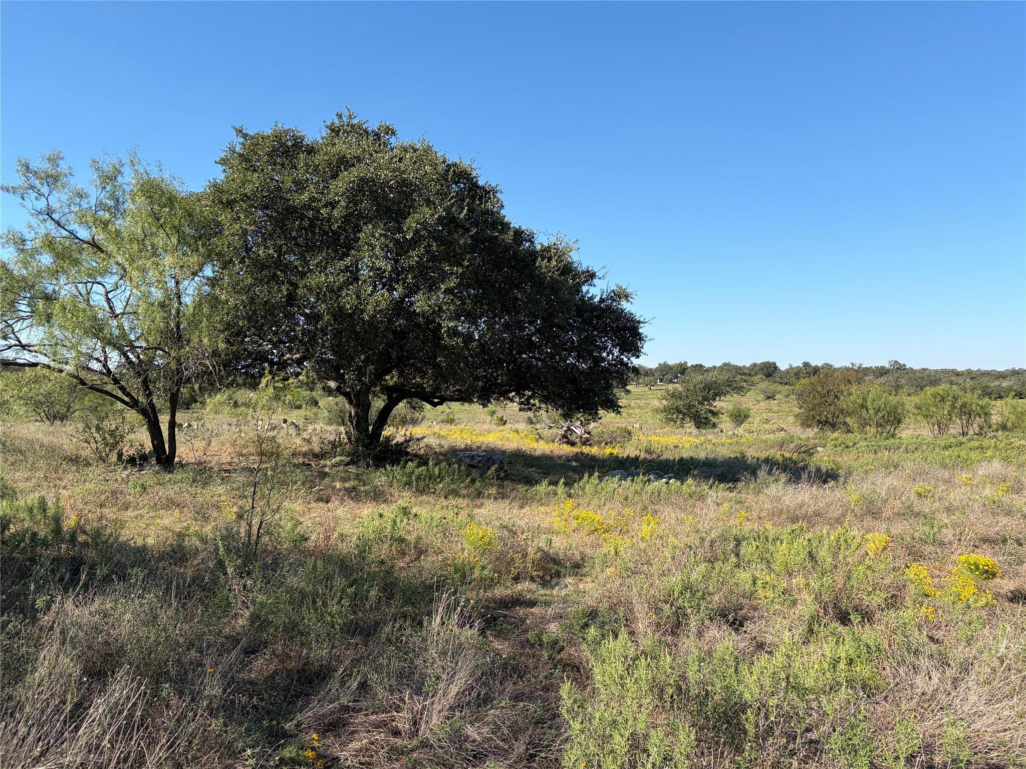 2965 Old Marble Falls RD