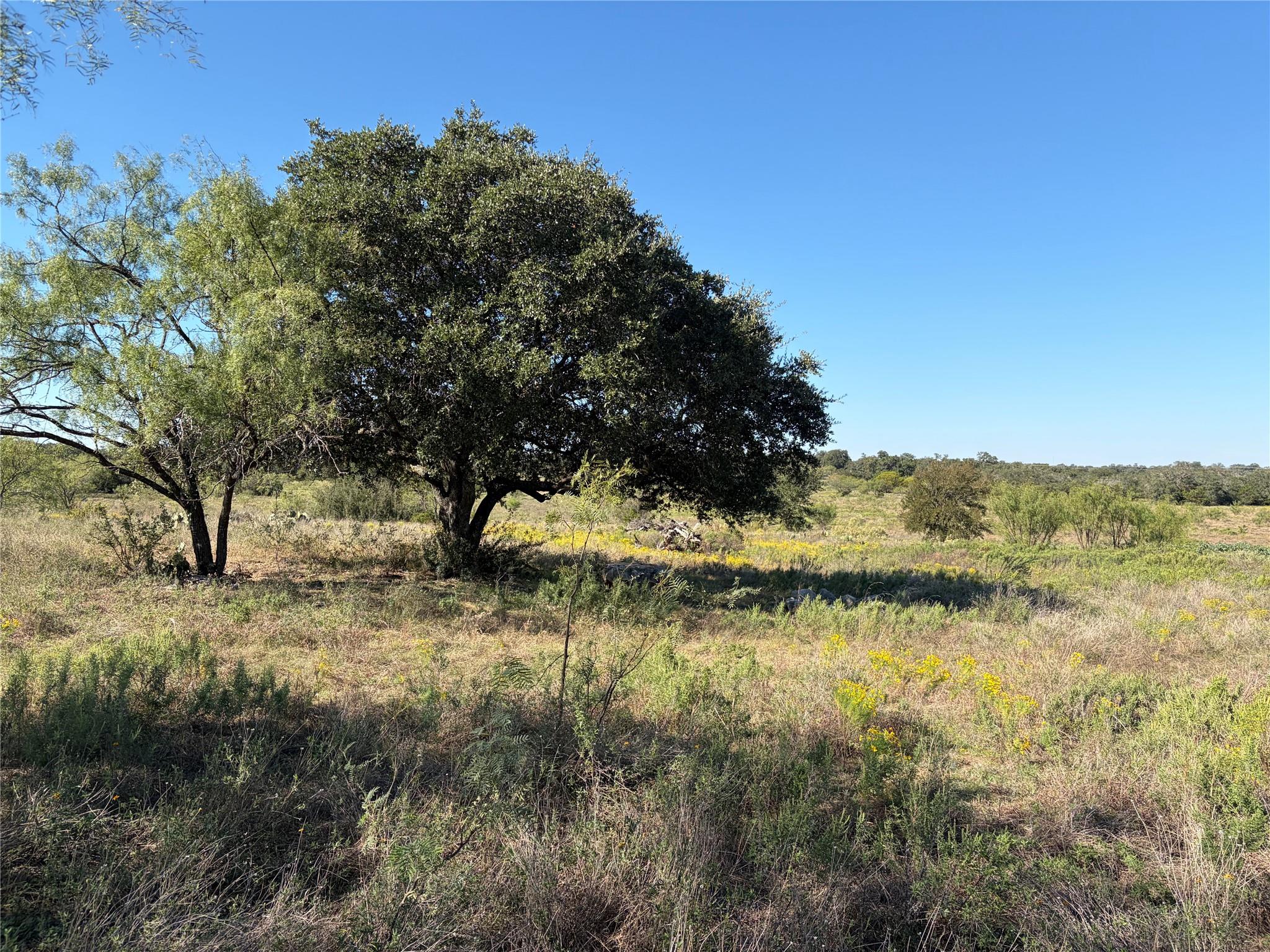 2965 Old Marble Falls Rd Round Mountain TX