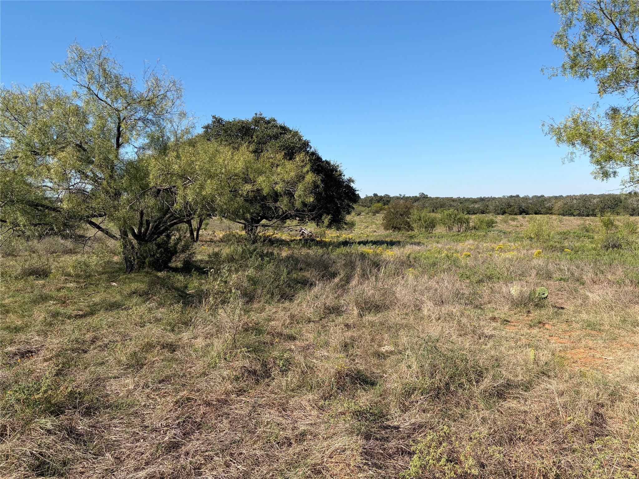 2965 Old Marble Falls RD