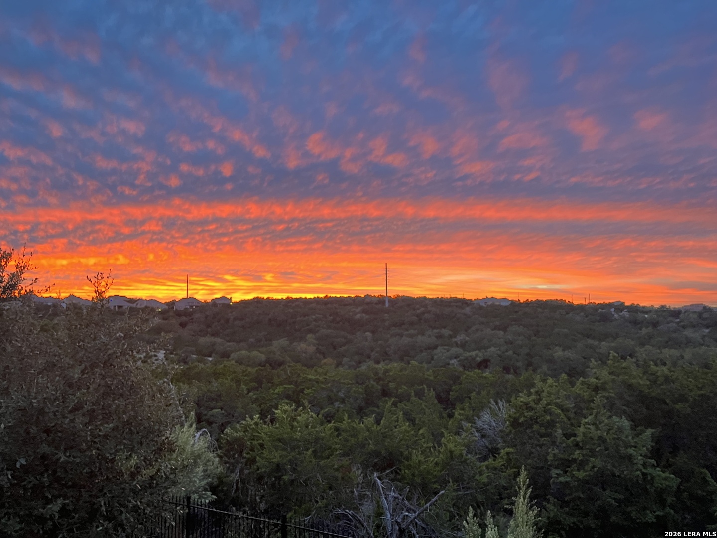 26215 Big Bluestem