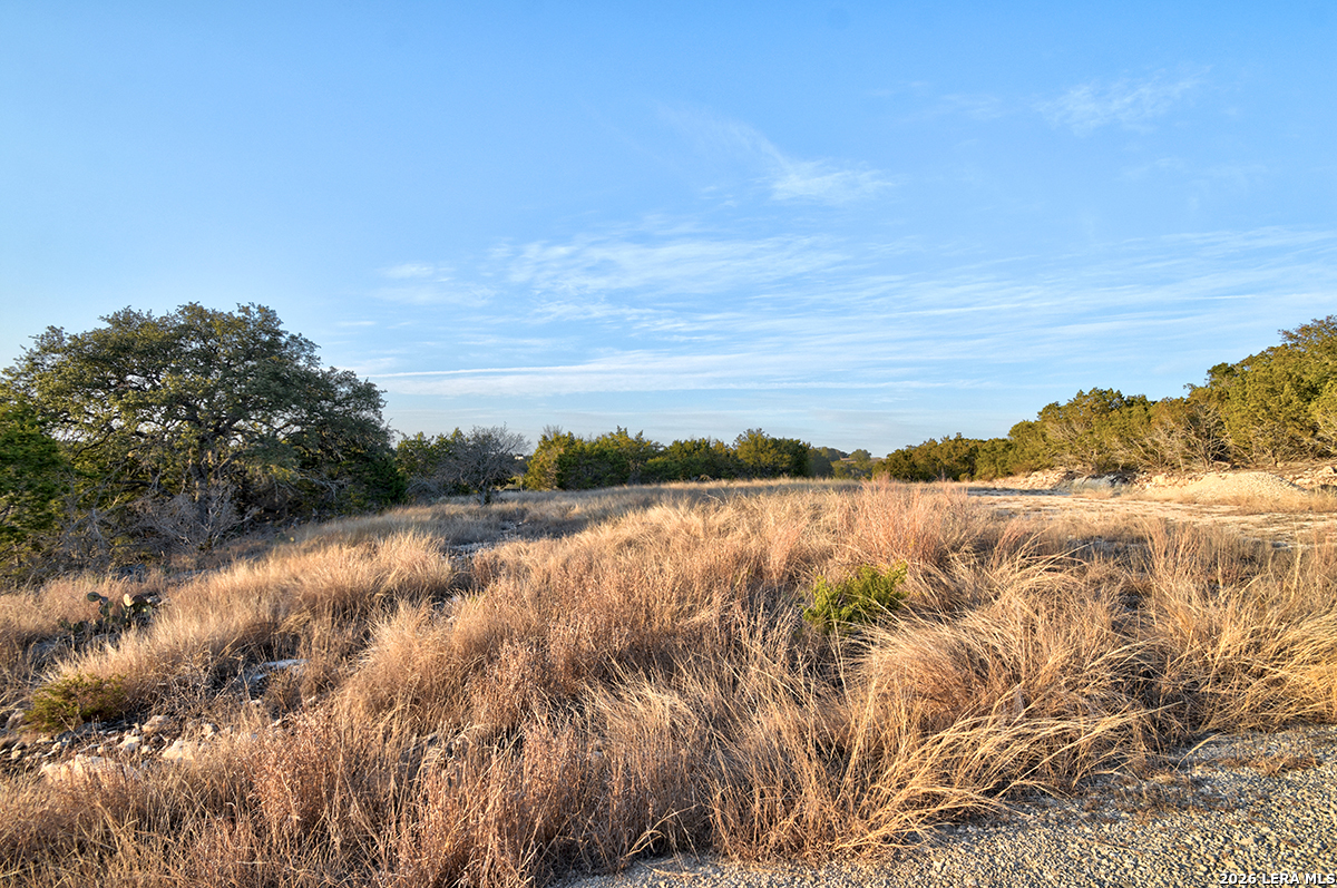 1045 S Shapen Springs