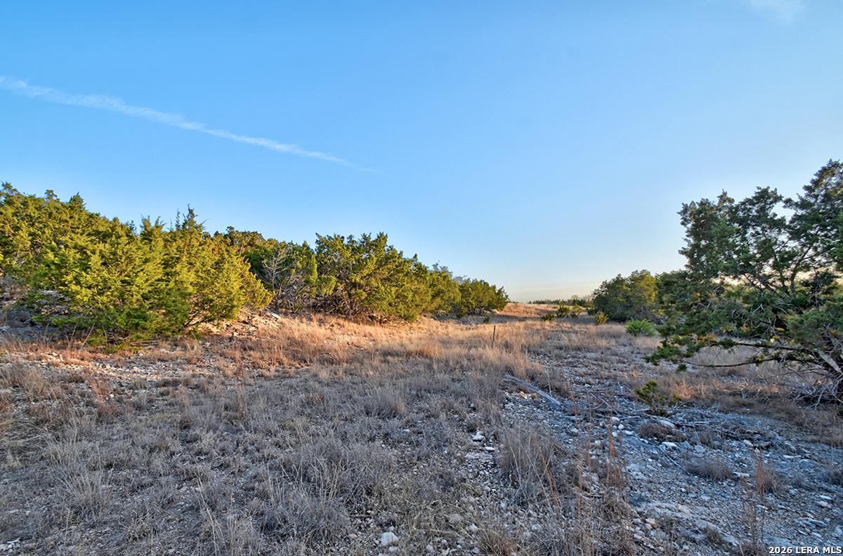 1045 S Shapen Springs