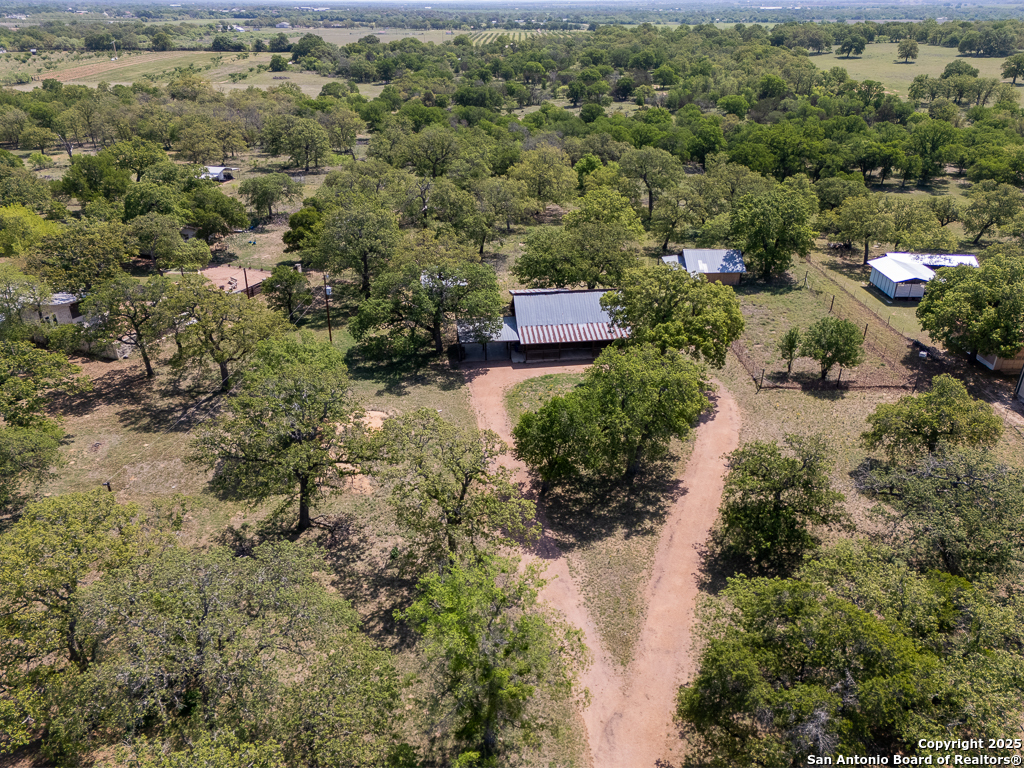 463 woodland