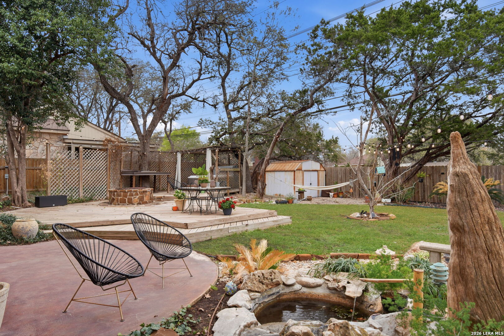 2623 Turkey Oak