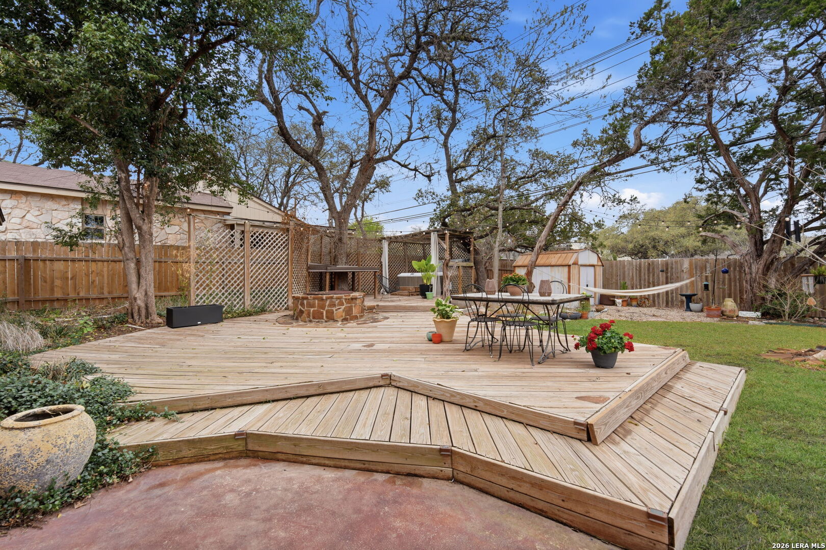 2623 Turkey Oak