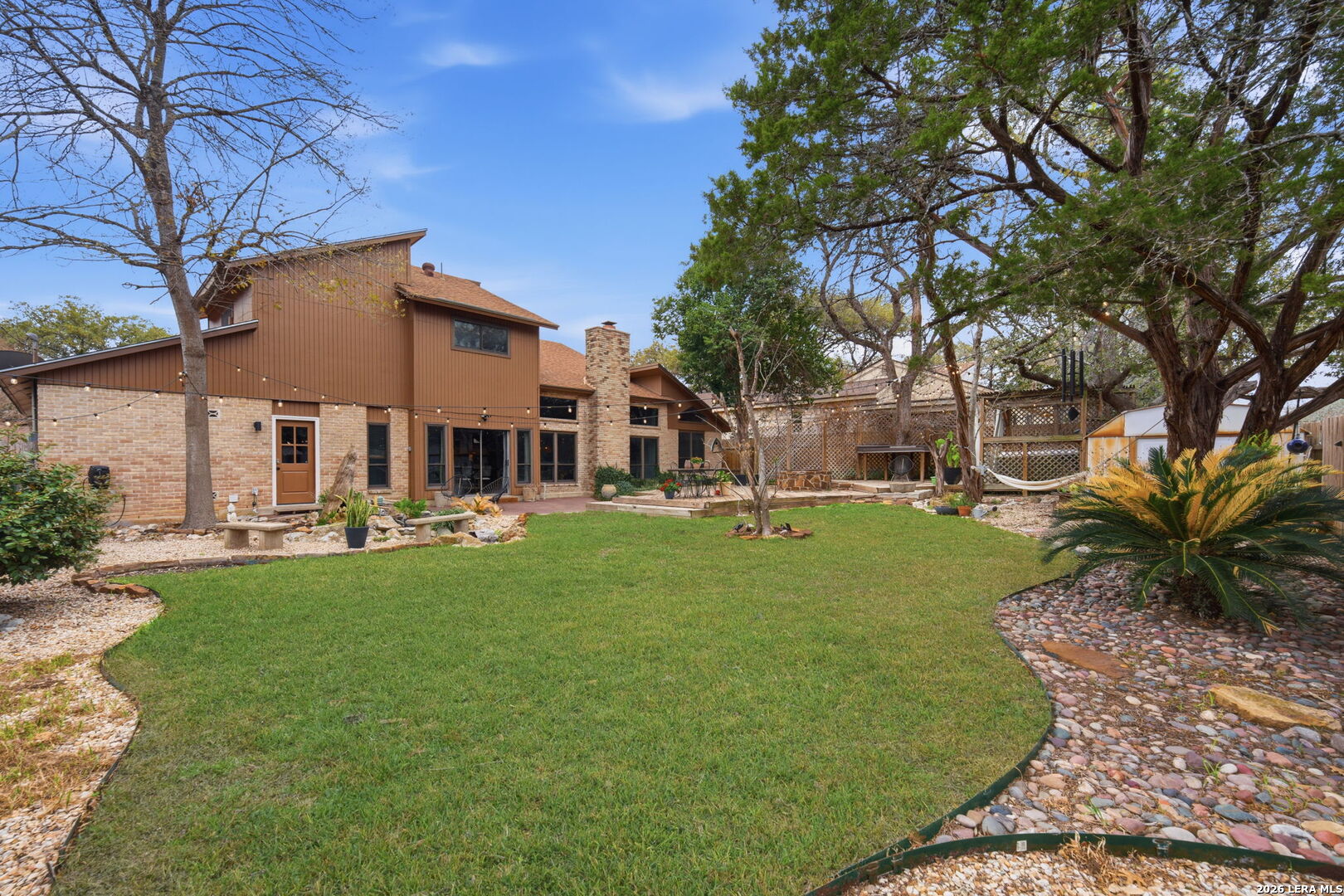 2623 Turkey Oak