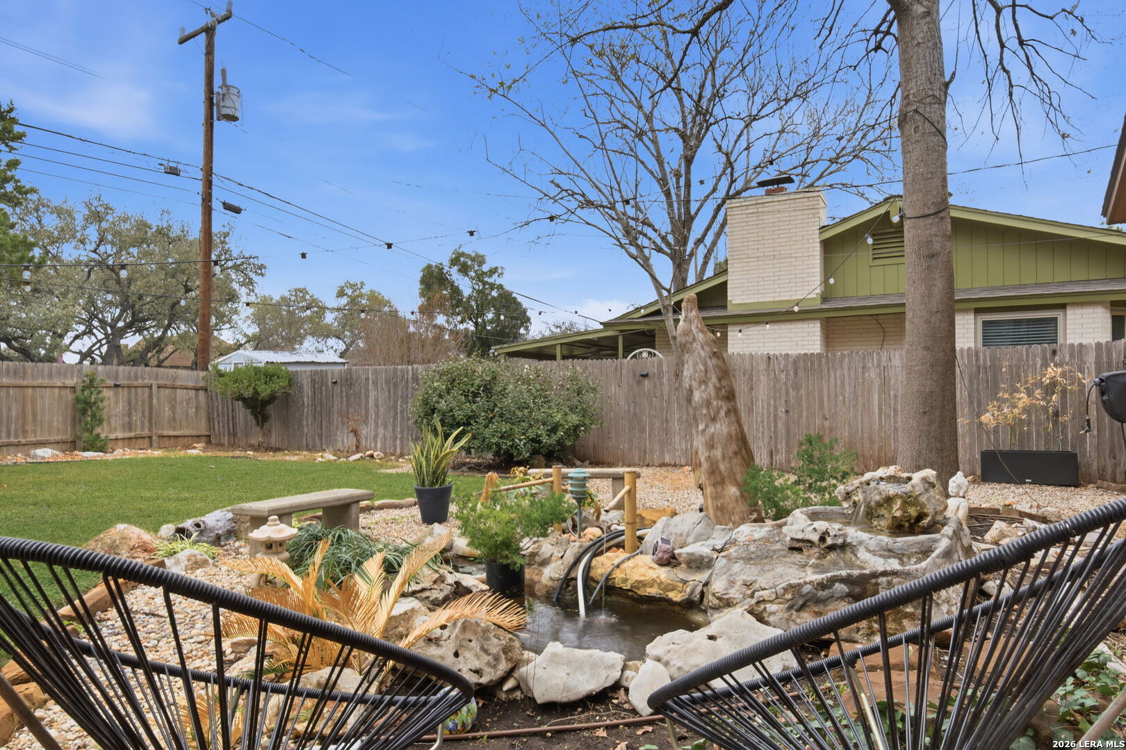 2623 Turkey Oak