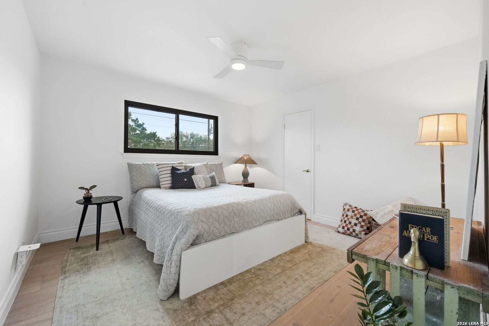 2623 Turkey Oak