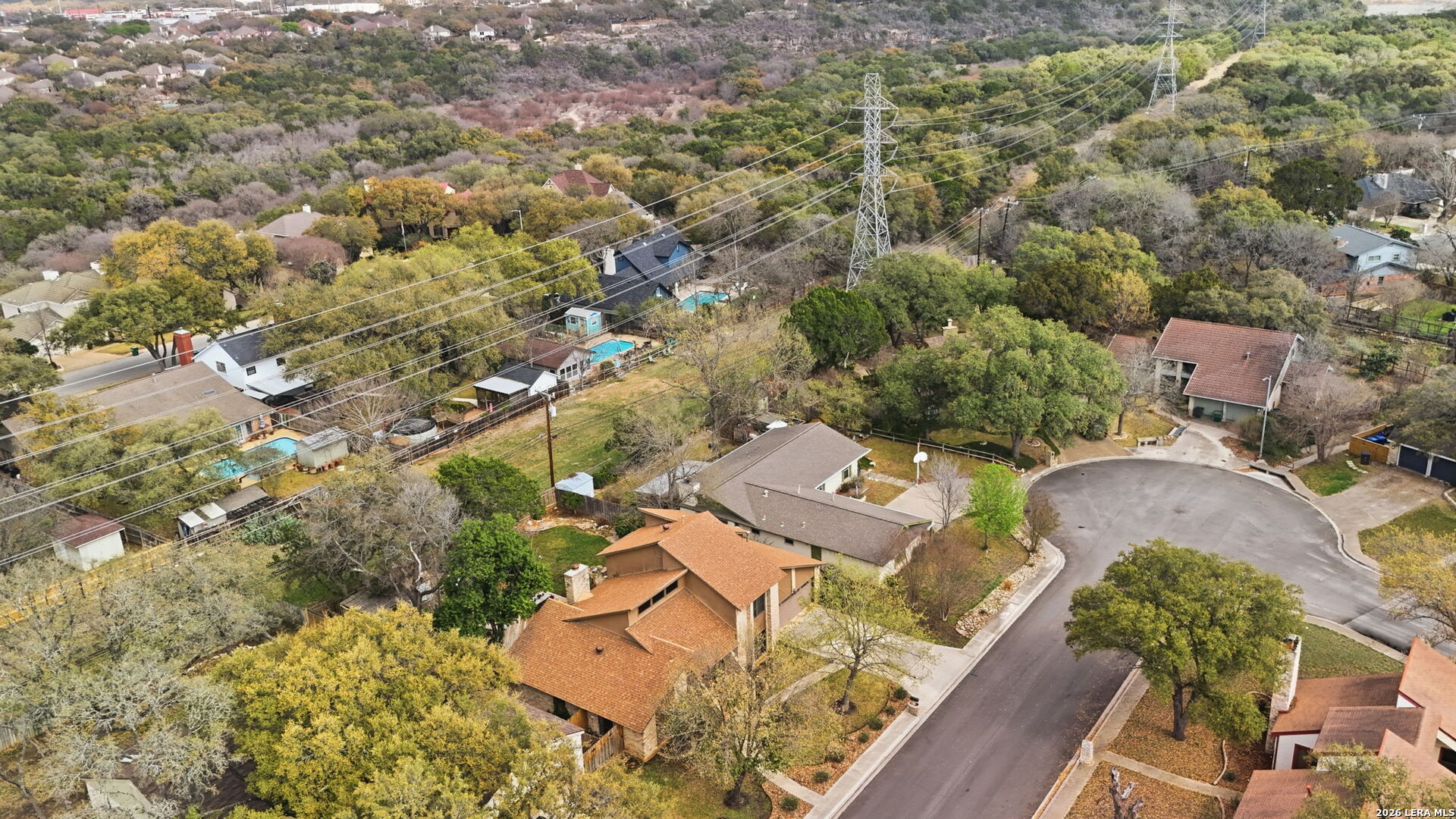 2623 Turkey Oak