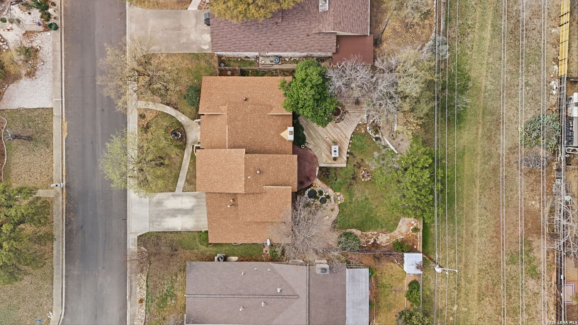 2623 Turkey Oak
